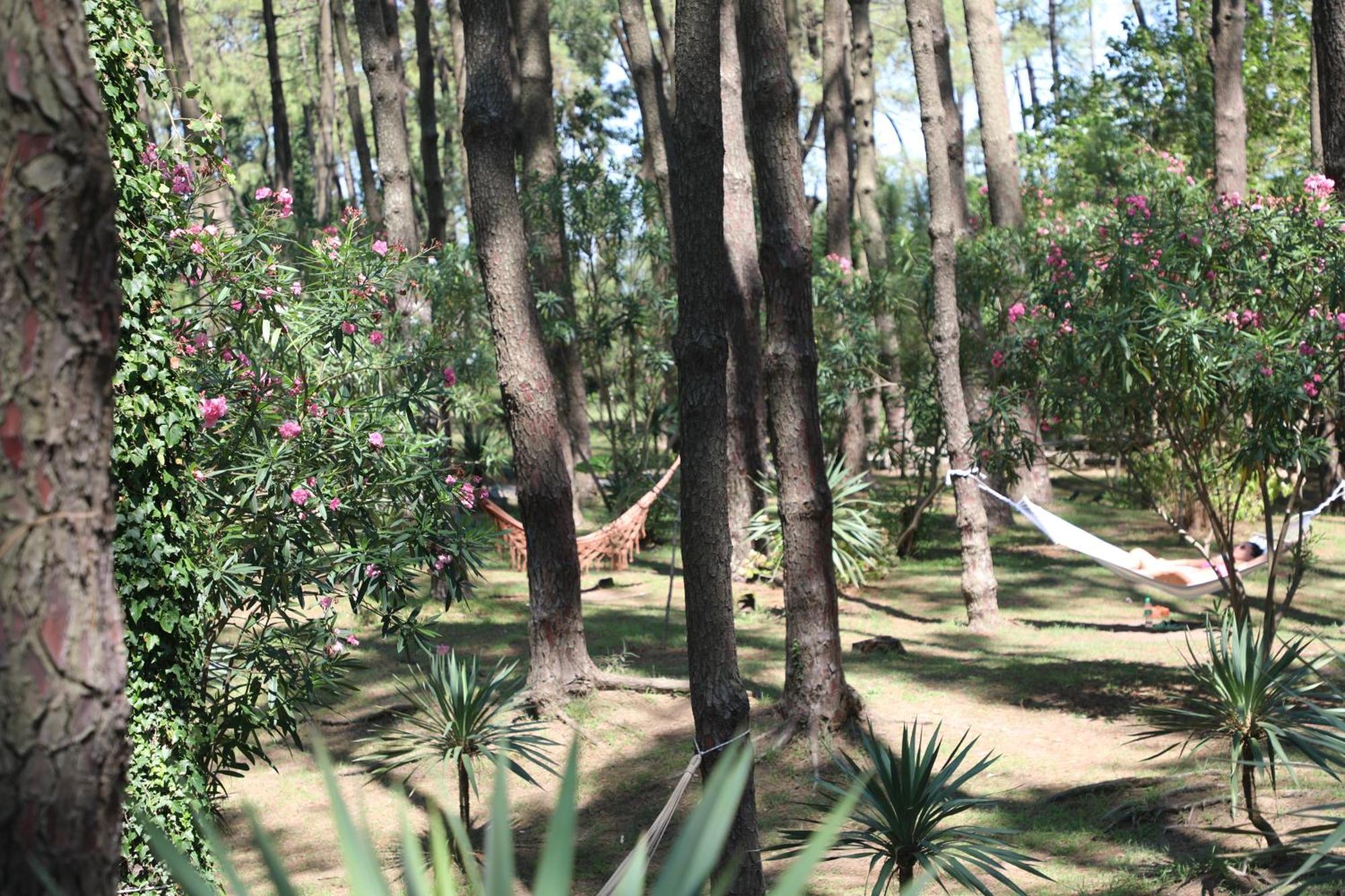 Andamati Beach Resort Grigoleti Buitenkant foto